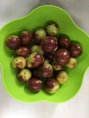 哪里的冬棗最好?山東沾化、河北黃驊、陜西大荔,還是山西、新疆江西或其他地方?