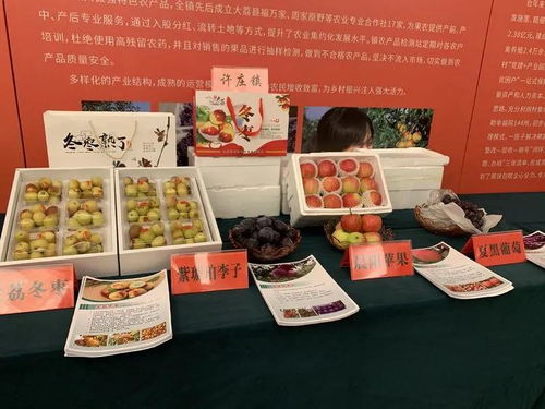 大荔冬棗進(jìn)軍上海市場 簽訂農(nóng)產(chǎn)品購銷協(xié)議5.3萬噸