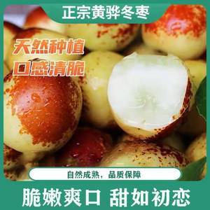 河北黃驊脆冬棗 自然的饋贈(zèng)與美食的極致